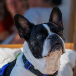 Программы лояльности казино без депозита для игроков после неудач