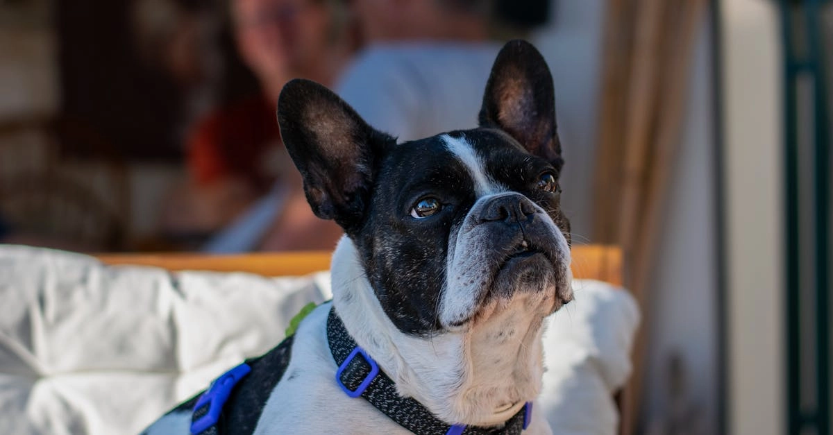 Программы лояльности казино без депозита для игроков после неудач