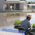 Слот игра Bigger Barn House Bonanza и проблемы с удачей