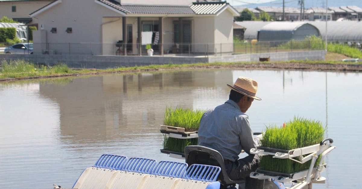 Слот игра Bigger Barn House Bonanza и проблемы с удачей